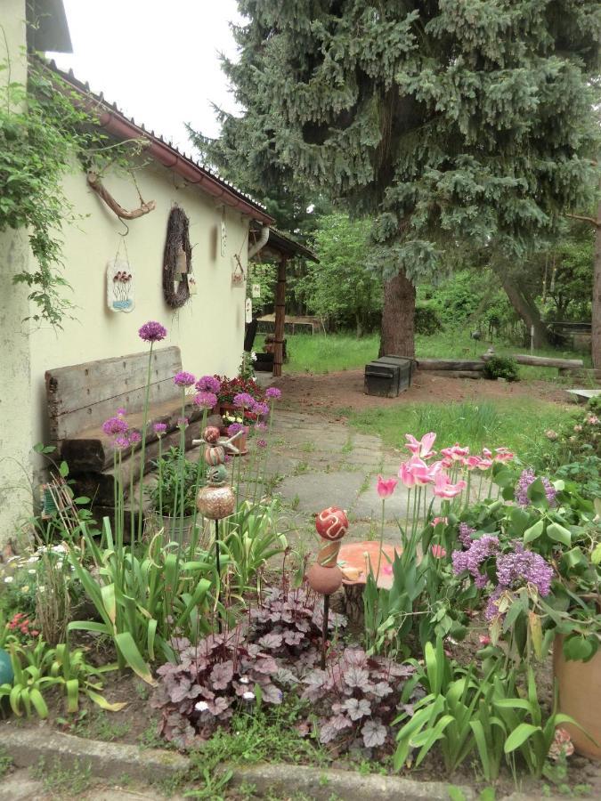 Linas Toepferhof Apartamento Weißenfels Exterior foto